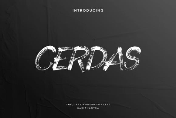 Branding with Cerdas: A Designer's Journey with a Bold Typeface