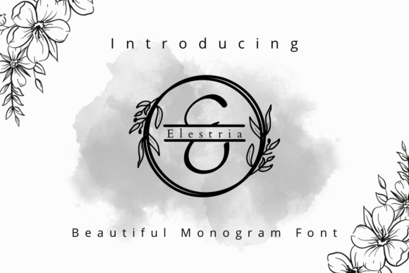 Elestria Font for Web Design and Branding