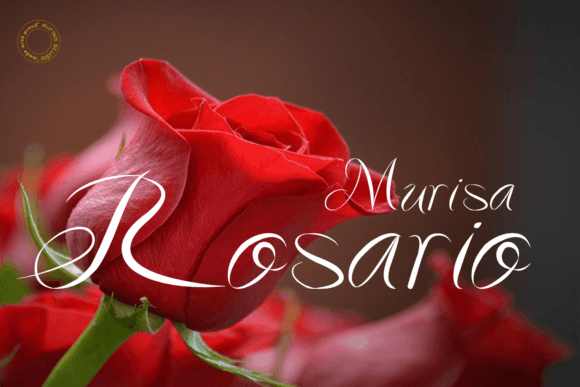 Murisa Rosario: A Versatile Sans Serif Font for Campaign Design