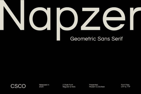 Testing Napzer for a Modern Web Design Project